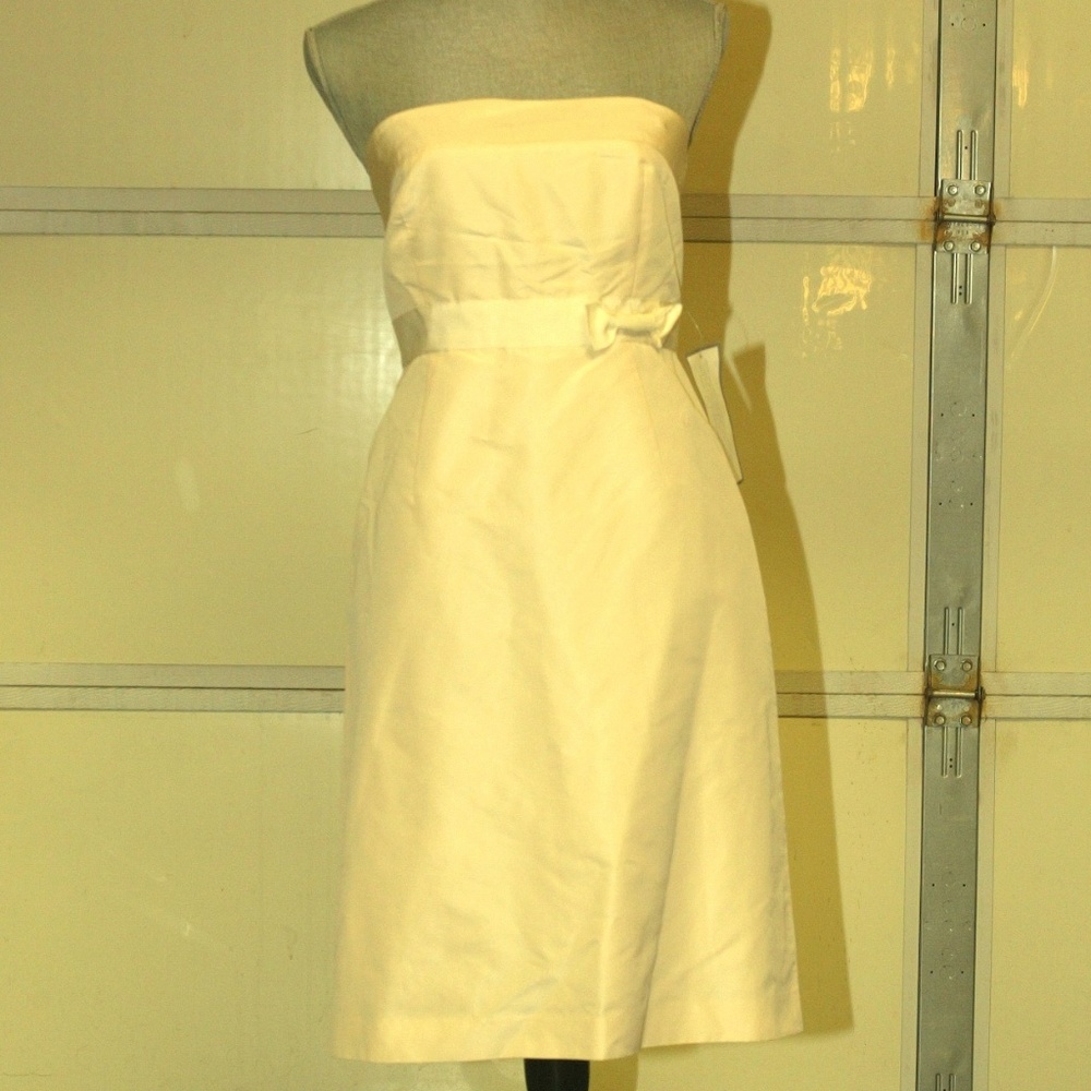NWT J.Crew champagne dress